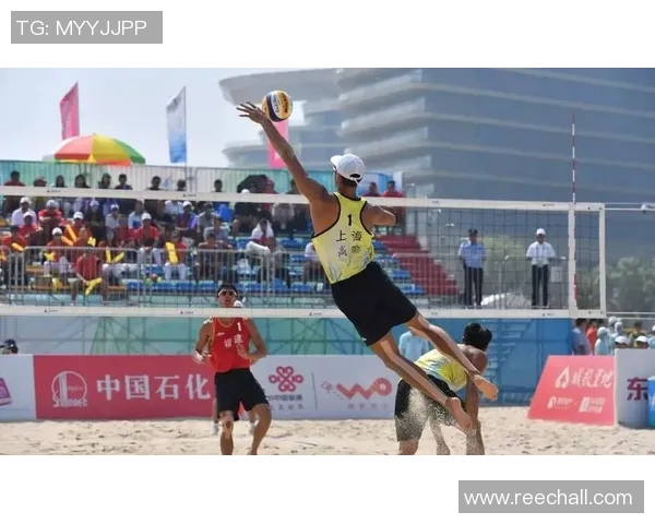 广州排球队的节奏与激情：探索排球运动的魅力与发展之路