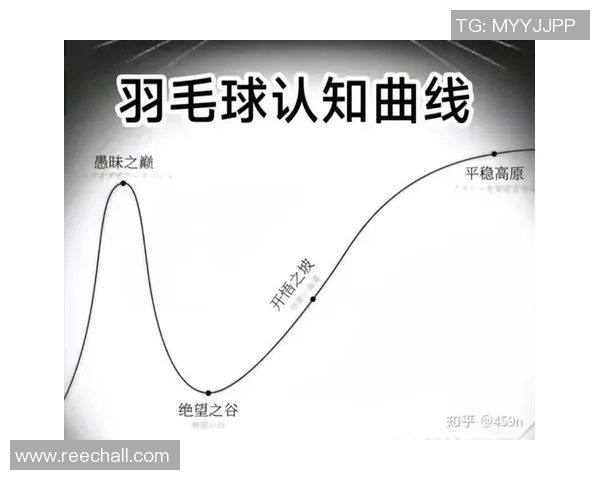 张芳独家分享羽毛球技巧与心得助你提升球技的全方位指南