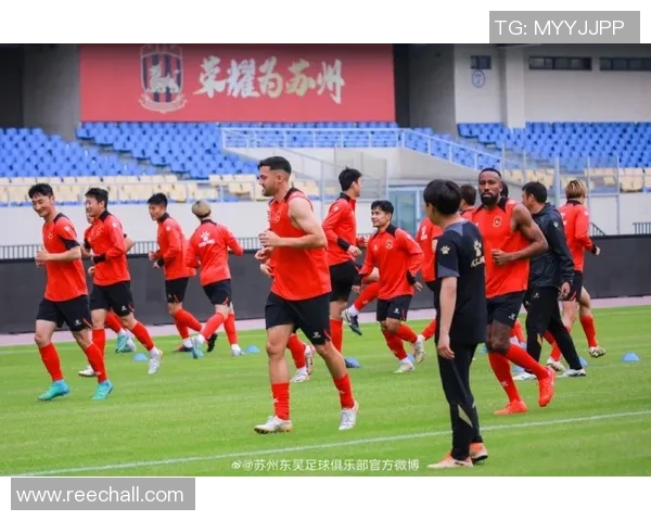 深圳飞盘队在攀岩联赛中的默契配合与战术分析