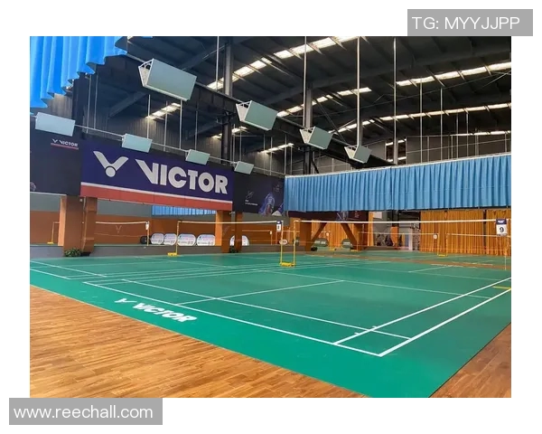 西安羽毛球队整体表现分析：压制与失误的双重影响探讨