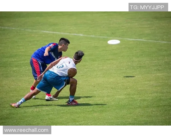 成都飞盘队力量表现数据分析揭示运动员潜力与团队协作的关键因素 成都飞盘队力量表现数据分析揭示运动员潜力与团队协作的关键因素