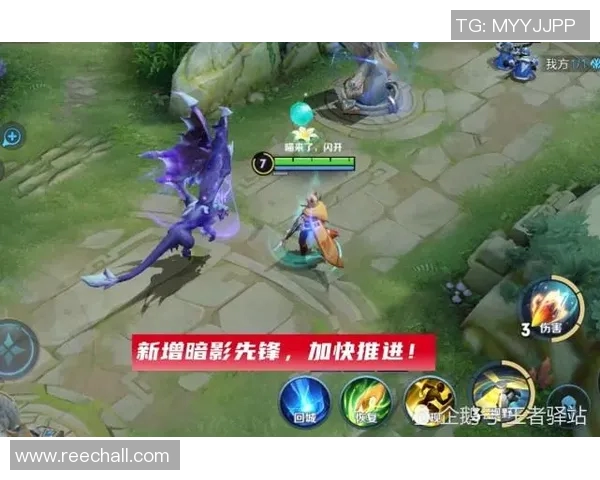 权威发布王者荣耀节奏实力榜单全面解析与玩家策略建议