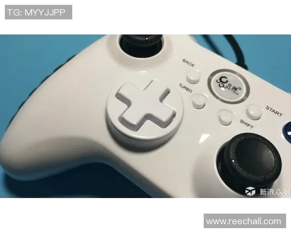 王者荣耀深度解析LNG战队盯防策略与战术布局探秘 王者荣耀深度解析LNG战队盯防策略与战术布局探秘