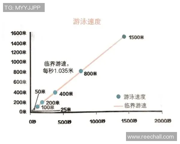 提升自由泳速度的关键技巧与训练方法探索