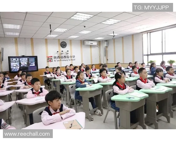 与周娜畅谈飞盘生涯的点滴与成长之路