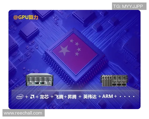 南京乒乓球队的拼搏历程与荣耀时刻全景回顾