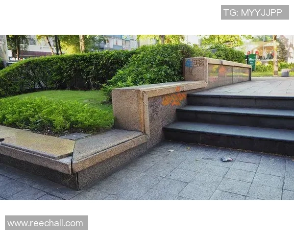 北京滑板队中路突破的成功与不足分析及未来发展方向探讨