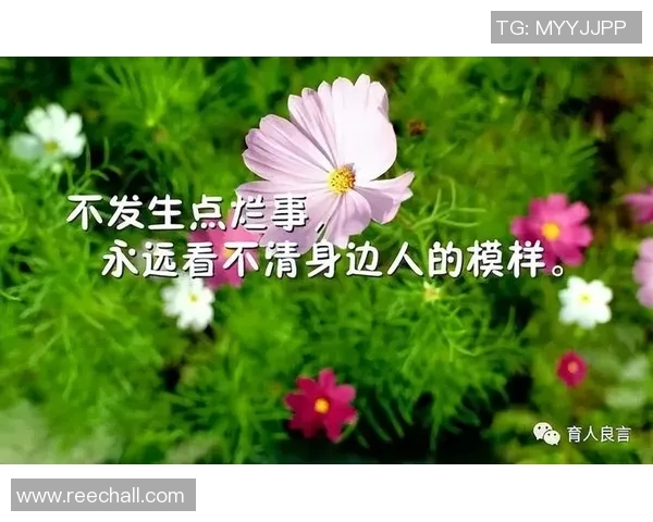 李丽的极限运动人生探索与挑战背后的深度对话与感悟